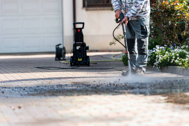 Best Best Pressure Washing Companies  in Pinckney, MI