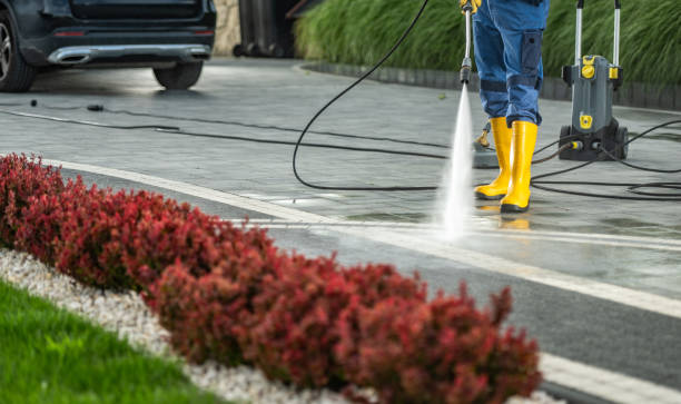 Best Roof Pressure Washing  in Pinckney, MI